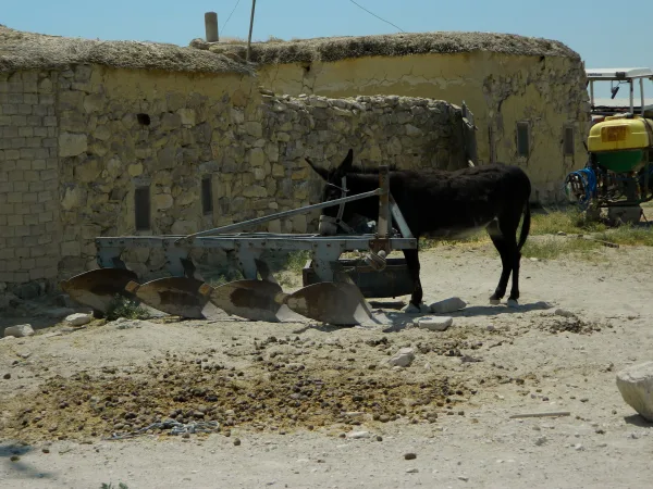 Attaleia Arşiv — Street